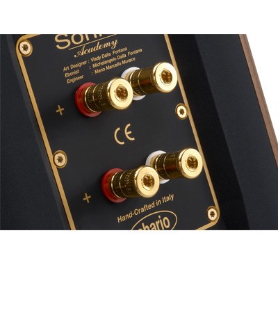 義大利 chario SERENDIPITY 大珍寶 胡桃實木落地喇叭